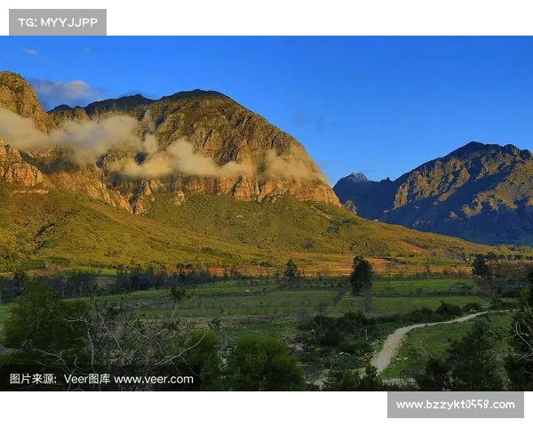 南非超斯泰伦博斯引进荷兰数据分析系统推动战术革新提升竞技水平